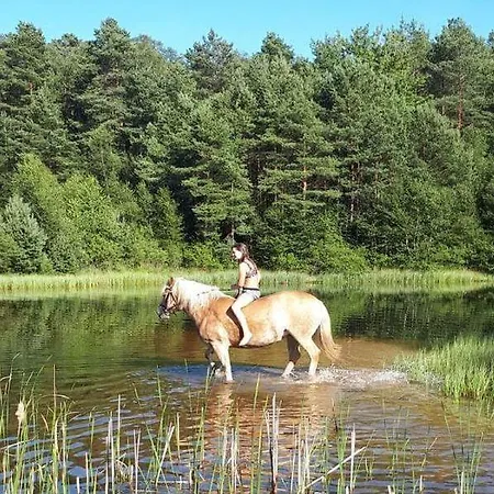 Apartmán Schroederhof *