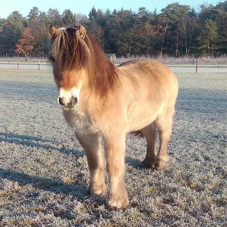 Apartmán Schroederhof