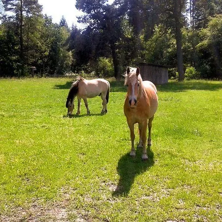 Schroederhof * Unterluss