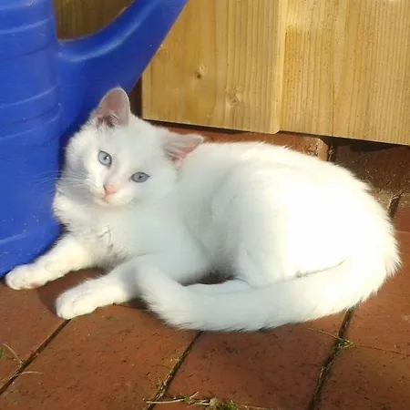 Schroederhof Apartmán Unterluss